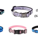 Life Is Good Dog Collars As Low As $5.99