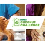 IAMS Checkup Challenge