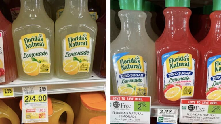 Florida’s Natural Lemonade Deals at Publix & Lowes Foods