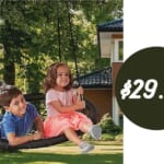 Member’s Mark 40 in. Webbed Nest Swing for $29.98