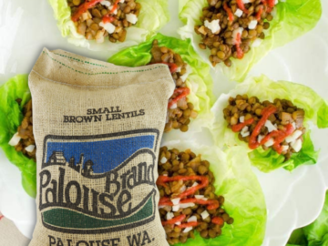 5-Pound Palouse Brand Small Brown Dry Lentils as low as $13.73 Shipped Free (Reg. $18) – 2K+ FAB Ratings! $2.75 per Pound! Desiccant Free, Non-GMO, Non-Irradiated & Certified Kosher Parve!