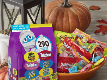 290 Pieces Hershey and Mondelez Fruit Flavored Assortment Chewy and Hard Candy as low as $23.14 After Coupon (Reg. $26) – 8¢ each!