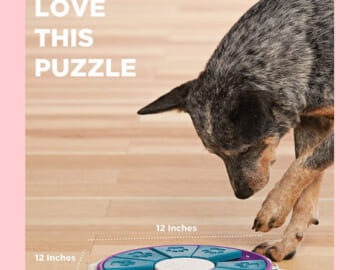 Outward Hound Nina Ottosson Interactive Puzzle Dog Toy (Level 3) $5.10 (Reg. $25) – Advanced Level, Easy to Clean