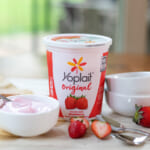 Fantastic Deal On Big Tubs Of Yoplait Yogurt At Publix – Just $1