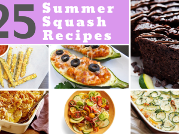 25 Summer Squash Recipes