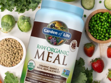 Garden of Life Raw Organic Meal Replacement Shakes, Chocolate as low as $30.26 After Coupon (Reg. $37.35) + Free Shipping – 28 Servings! Organic, Gluten-Free