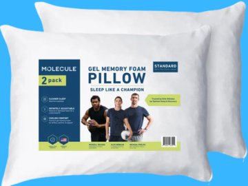 2-Pack Molecule Standard/Queen Gel Memory Foam Pillows $15 (Reg. $60) – FAB Ratings! $7.50 Each!