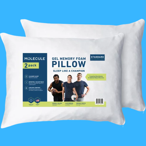 2-Pack Molecule Standard/Queen Gel Memory Foam Pillows $15 (Reg. $60) – FAB Ratings! $7.50 Each!