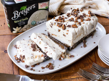 Serve Up A Cool Treat For Labor Day With BOGO Breyers® Ice Cream & My Turtle Ice Cream Terrine Recipe
