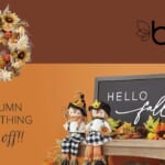 Belk Doorbusters | Fall Home Décor