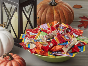 355-Count Hershey Miniatures Chocolate and Fruit Flavored Assortment Candy $21.58 After Coupon (Reg. $31.10) – 6¢/candy! Ships with Cool Packs!