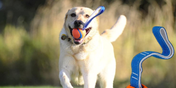 Chuckit! Ultra Tug Dog Toy as low as $5.10 (Reg. $9.99) – 7K+ FAB Ratings! Small and Medium Sizes