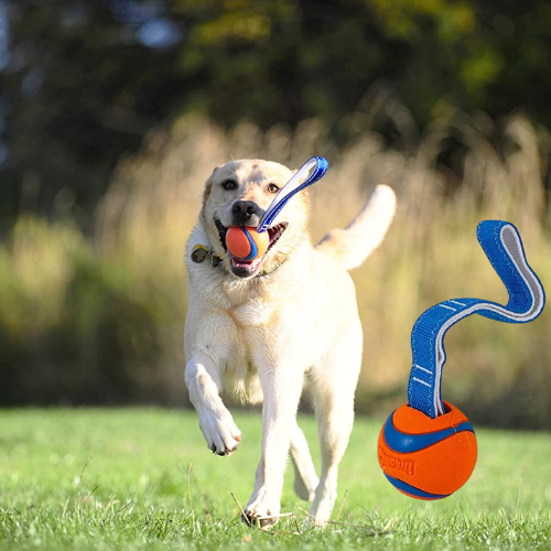 Chuckit! Ultra Tug Dog Toy as low as $5.10 (Reg. $9.99) – 7K+ FAB Ratings! Small and Medium Sizes