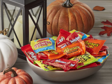 110-Count Hershey and Mondelez Assorted Chocolate, Peanut Butter, Fruit Flavored Snack Size Candy $16.95 After Coupon (Reg. $20) – 15¢/candy! Ships with Cool Packs!