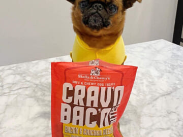 Stella & Chewy’s Crav’n Bac’n Dog Treats Bacon & Beef Recipe, 8.25 oz. Bag as low as $5.22 After Coupon (Reg. $9.99) + Free Shipping!