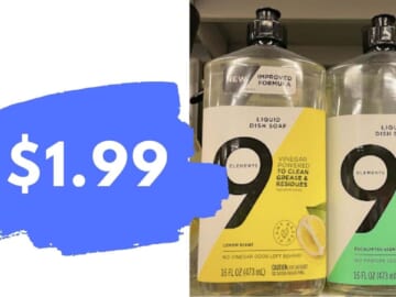 9 Elements Foaming Dish Spray for $1.99 | Target Circle Deal