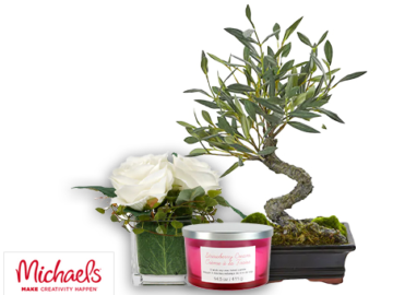 *HOT* FREE $15 purchase at Michaels after cash back!!