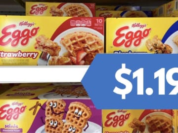 Publix eCoupon | Get Eggo Waffles for $1.19