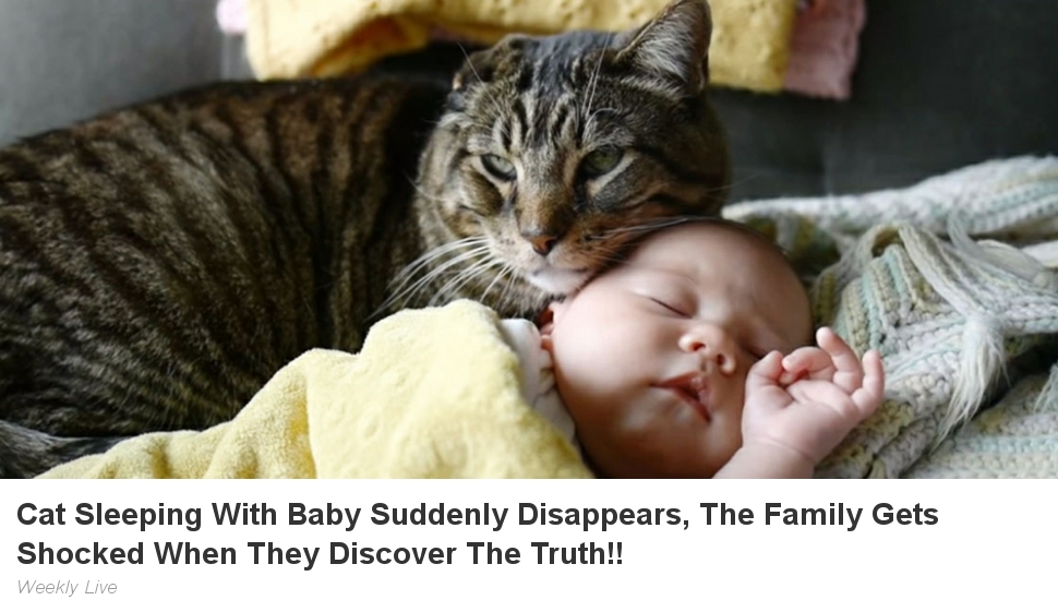 Feed Ads by FeedBlitz