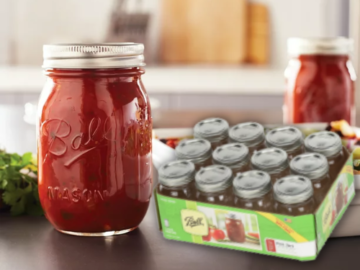Set of 12 Regular Mouth Pint Mason Jars with Lids & Bands $10.99 (Reg. $16.42) – FAB Ratings! 92¢/ 16 Oz Jar with Lid + Band!
