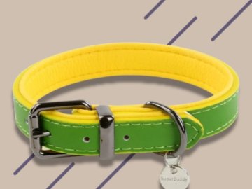 Leather Dog Collar $4.36 (Reg. $13.88) – FAB Ratings! Blue or Green Color!