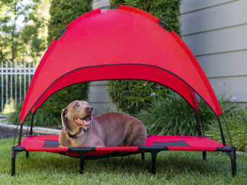 Outdoor Raised Cooling Pet Dog Bed with Canopy only $38.99 shipped (Reg. $80!)