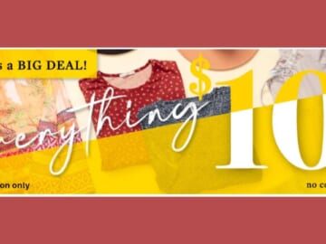 Cents of Style | All Best Sellers Only $10!!