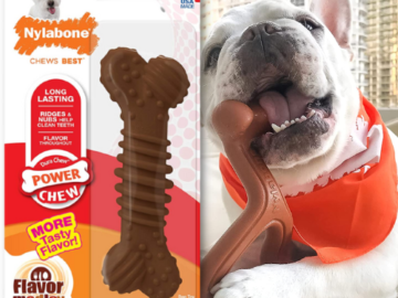Amazon Prime Day: FOUR Nylabone Medley Flavor Textured Bone Chew Toy for Small/Regular Dogs as low as $2.85 EACH After Coupon (Reg. $7.39) + Free Shipping + Buy 4, Save 5%