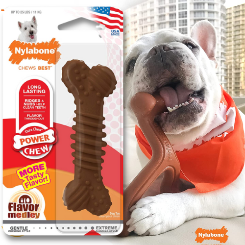 Amazon Prime Day: FOUR Nylabone Medley Flavor Textured Bone Chew Toy for Small/Regular Dogs as low as $2.85 EACH After Coupon (Reg. $7.39) + Free Shipping + Buy 4, Save 5%