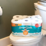 Angel Soft Bath Tissue Just $6.49 At Publix (Regular Price $11.59) – Ends 10/14