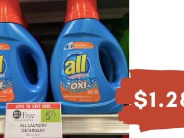 $1.28 All Detergent at Publix