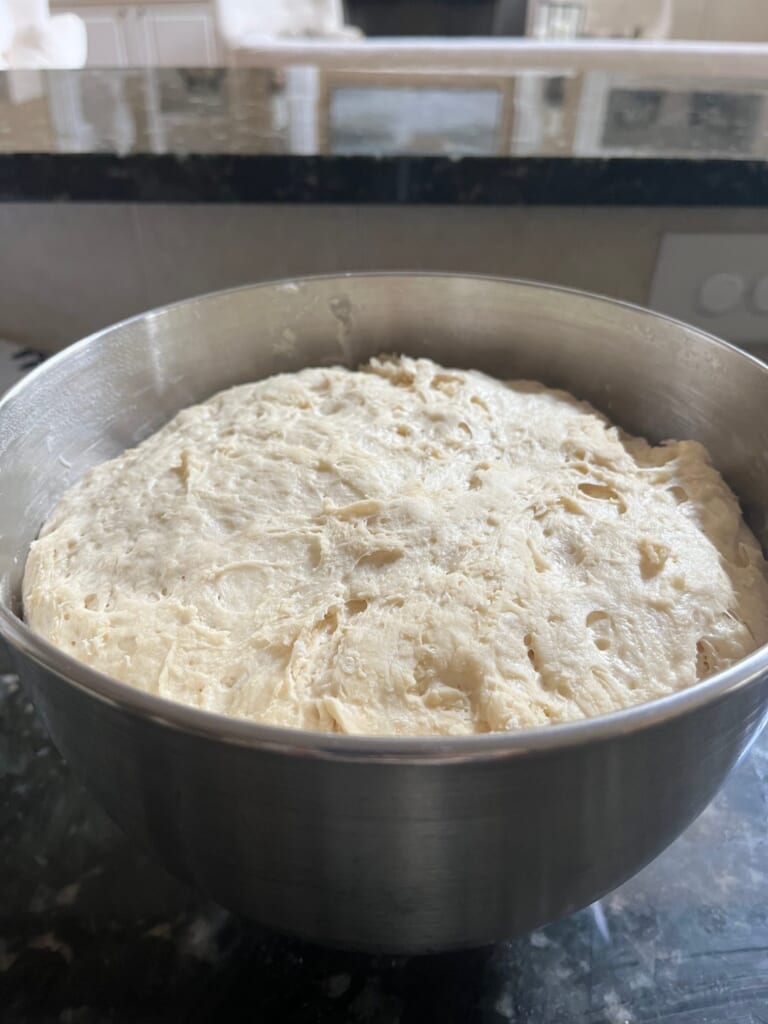 Using What You Have: 5-Minute Artisan Bread