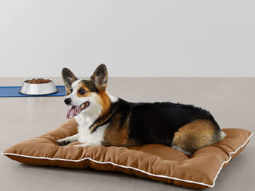 Amazon Basics Outdoor Water Repellent Medium Pet Pillow Bed $10.29 (Reg. $25.69) – Featuring a Cute and Comfy Stitch-tufted Bone Design in the Center