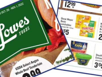 lowes foods weekly ad