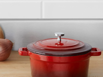 Red Cast Iron Covered Small Cocotte, 18-Ounce $11.03 (Reg. $19.10) – FAB Ratings!