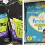 Pampers Diapers or Ninjamas for Just $6 at Walgreens