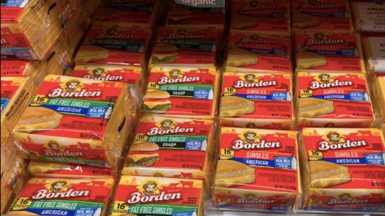 Borden Coupon | $1.57 Cheese Singles at Publix