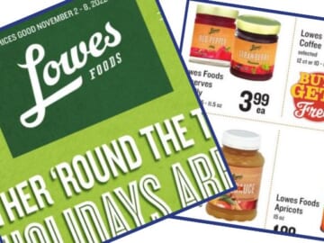 lowes foods weekly ad