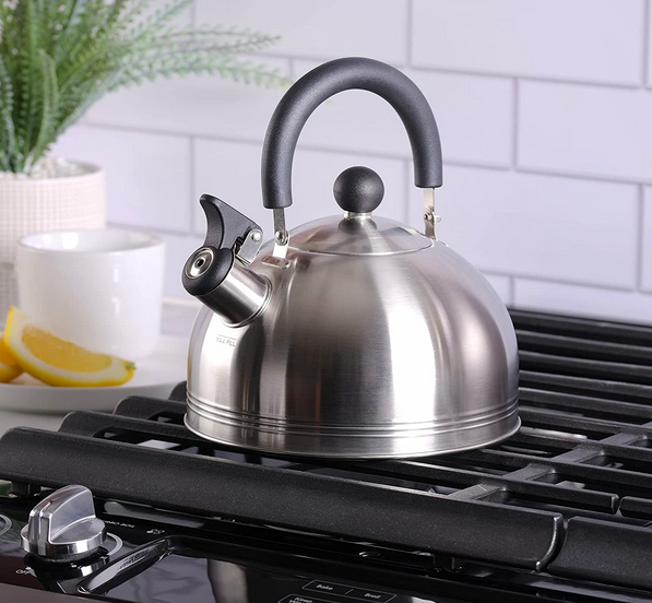 Mr. Coffee Carterton Stainless Steel Whistling Tea Kettle only $12.90 (Reg. $29!)