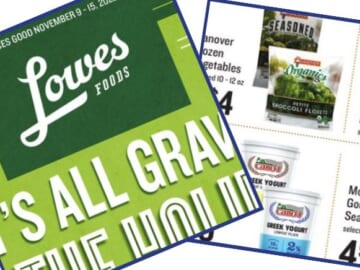 lowes foods weekly ad
