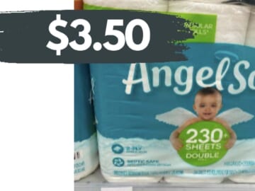 Angel Soft Bath Tissue as Low as $3.50 at Publix & Food Lion