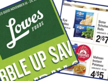 lowes foods weekly ad