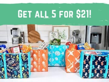 5 Super Shopper Totes As Low As $21 (reg. $36)
