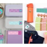 Mabel’s Labels | 50% off Limited Edition Bundle