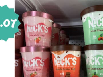 Get Nick’s Ice Cream Pints for $1.07 at Publix Starting Tomorrow