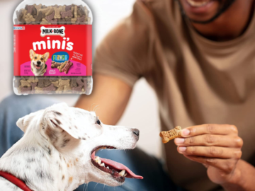 Milk-Bone Mini’s Flavor Snacks Dog Biscuits, 36 Oz as low as $6.32 After Coupon (Reg. $11.48) + Free Shipping!