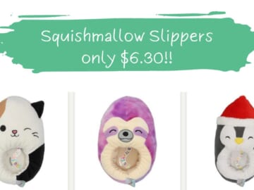 Walgreens | $6.30 Squishmallow Slippers