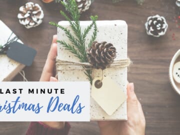 Live Online Q&A Monday: Last-Minute Christmas Deals
