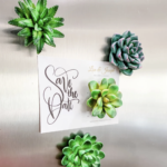Mini Succulent Resin Magnets, Set of 4 for just $14.99 shipped!