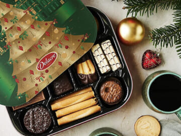 Delacre Petits Plaisirs Belgian Cookie Variety Christmas Tin, 17.6 oz as low as $14.07 Shipped Free (Reg. $18.50) – FAB Ratings!